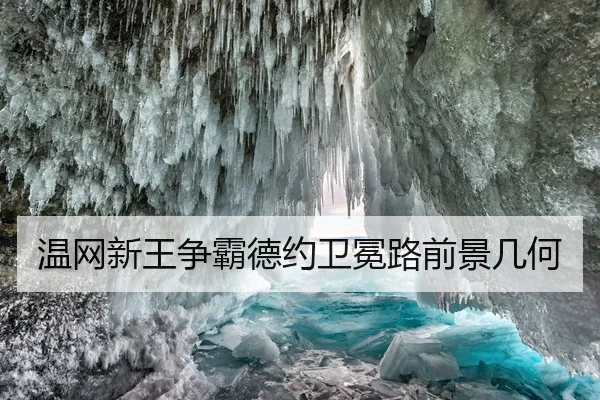 温网新王争霸德约卫冕路前景几何