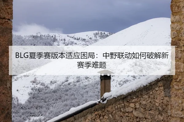 BLG夏季赛版本适应困局：中野联动如何破解新赛季难题